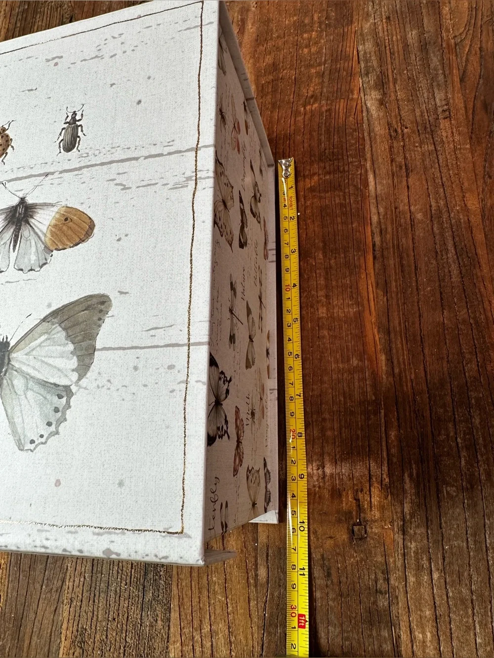 Wings Butterfly gift box Art - Neutral Cream & Tan